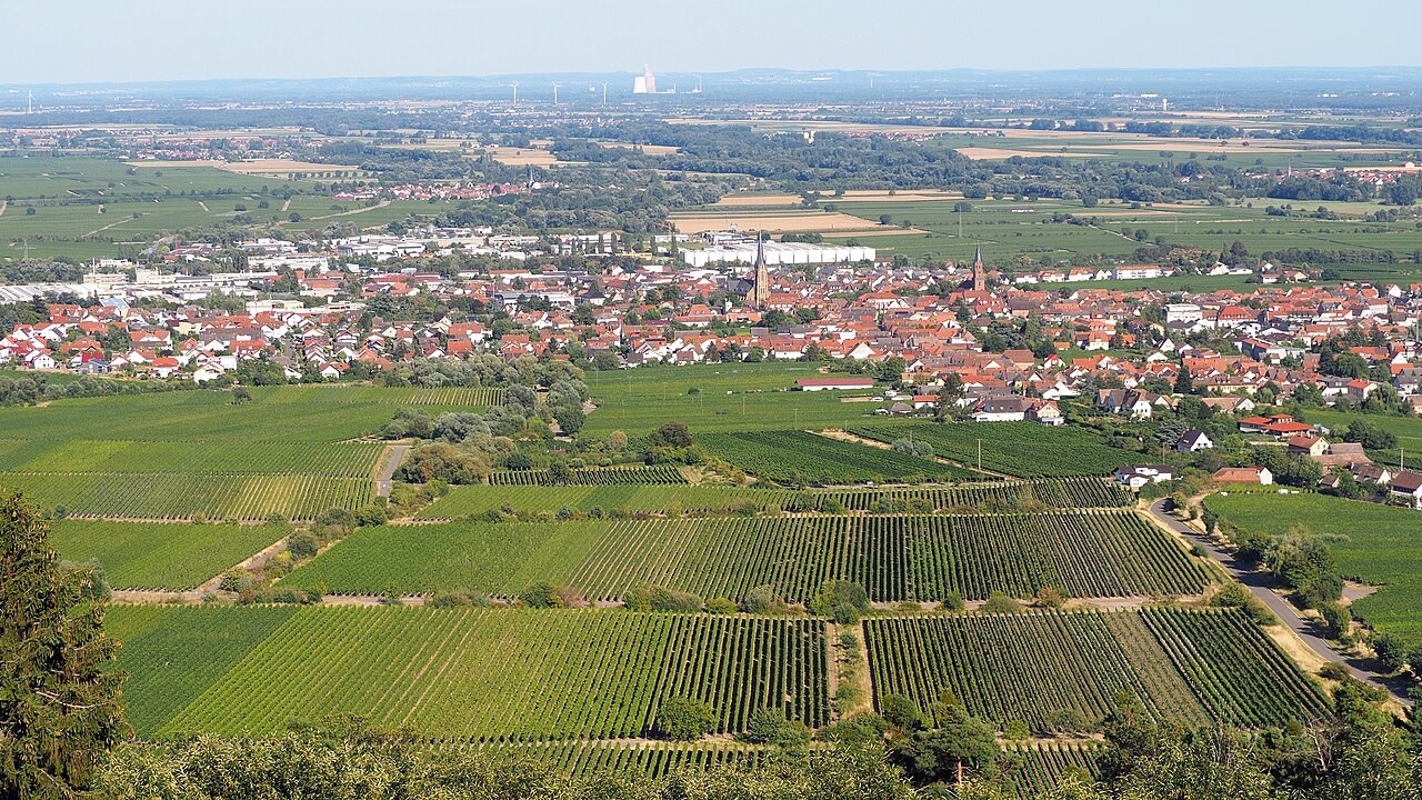 Blick auf Edenkoben und die Weinberge