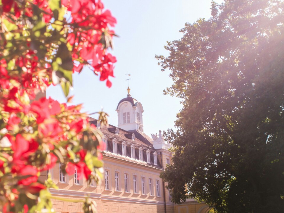 Karlsruher Schloss vom Schlossgarten aus